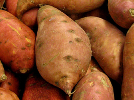 00BATATA_DOCE02