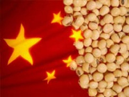 00CHINA_SOJA