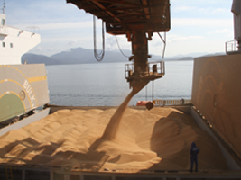 00Porto_de_Paranagua_soja_exportacao