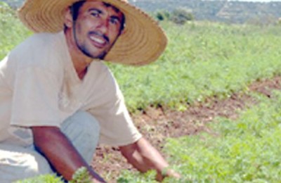 00agricultura_familiar13_AG