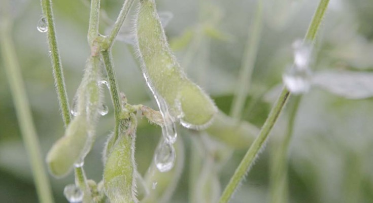14380116-WEB