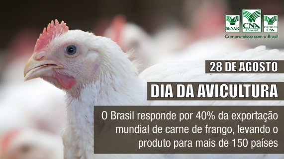 Dia da avicultura
