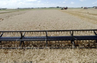 EXPEDIÇÃO-SAFRA-2014-42-ALB