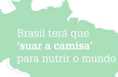 brasil-web