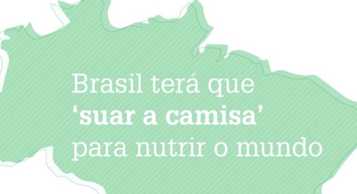 brasil-web