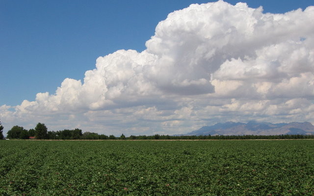 clima