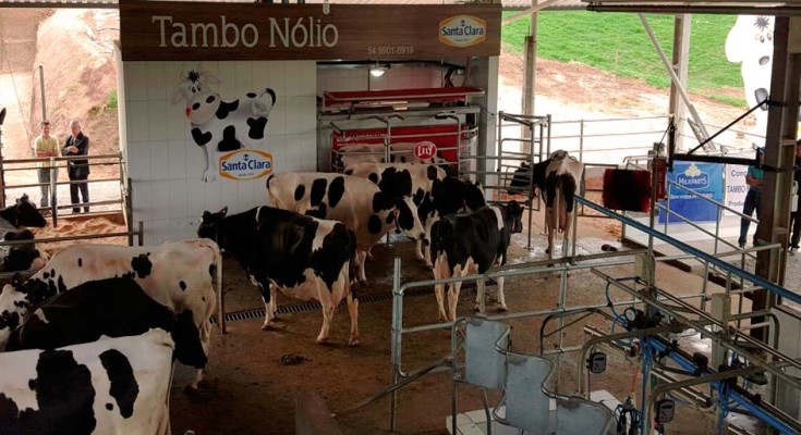 foto-robô-leite-web