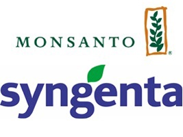 singenta monsanto