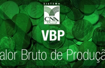 vbp_13