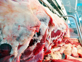 00carne05