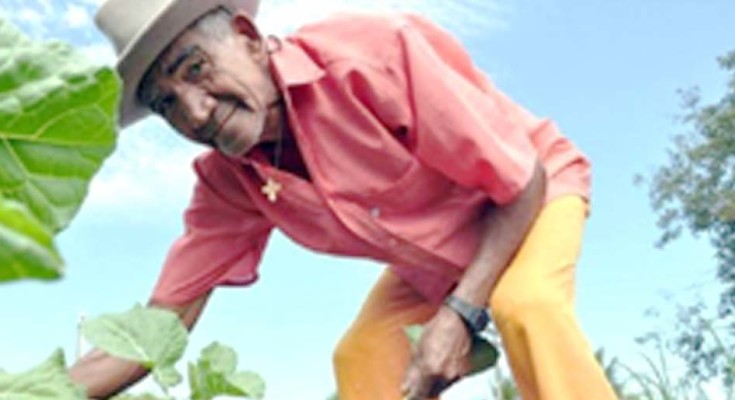 agricultura-familiar-19-web