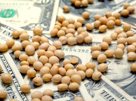 dolar agricltura