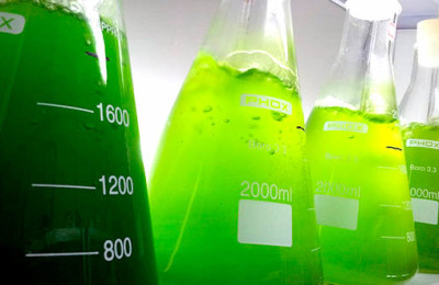 etanol