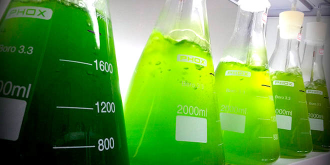 etanol