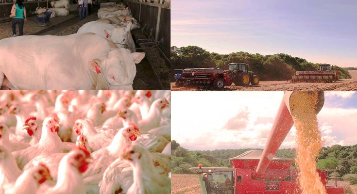 foto-agropecuária-web