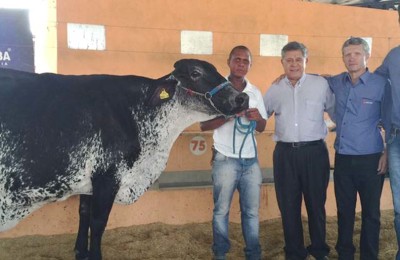 vaca-alterosa-web