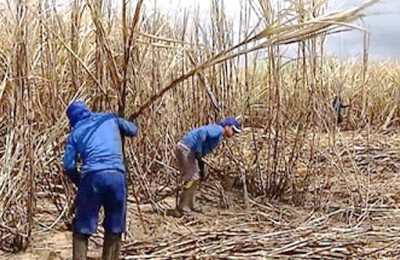 CANA-IMPORTAÇÃO-WEB