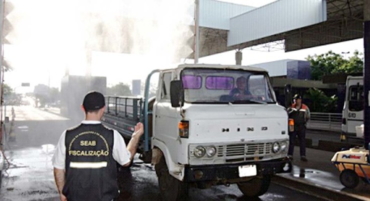 emater-funcionarios-web