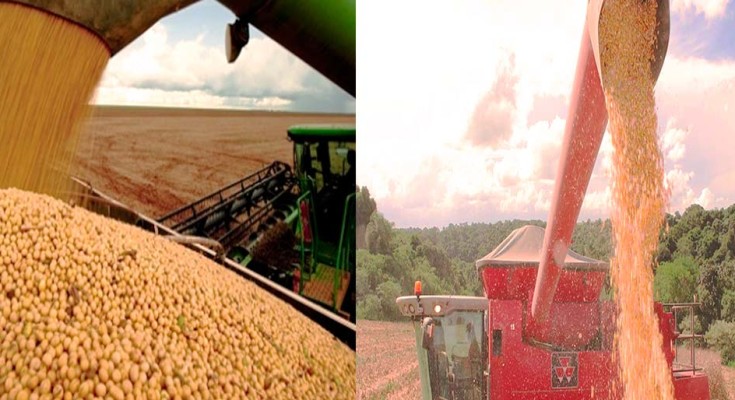 foto-soja-e-milho-descarregando-web