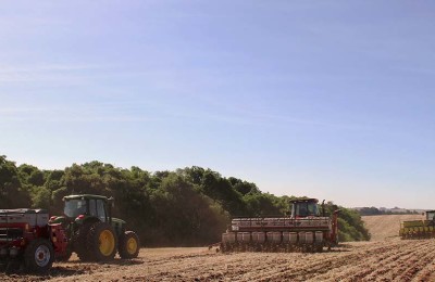 foto-soja-plantadeiras