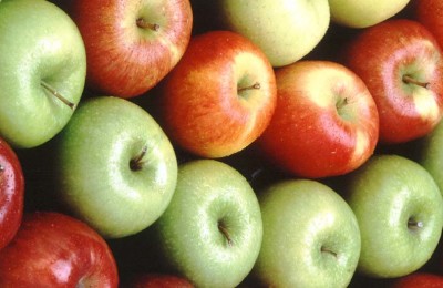macas-web