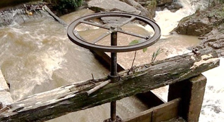 sustentabilidade-web