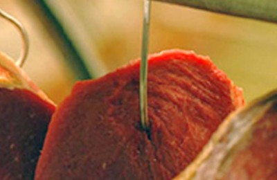 CARNE-CORTE-WEB