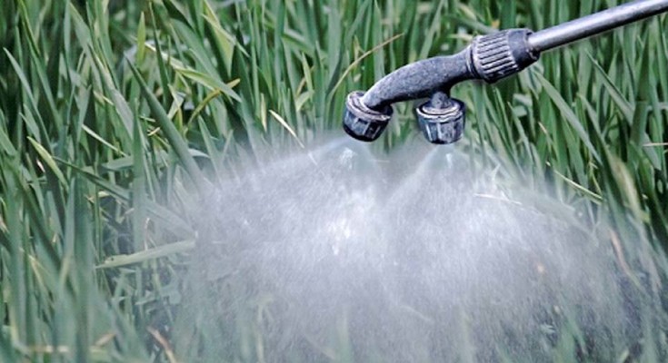 PARAQUATE-VENENO-WEB