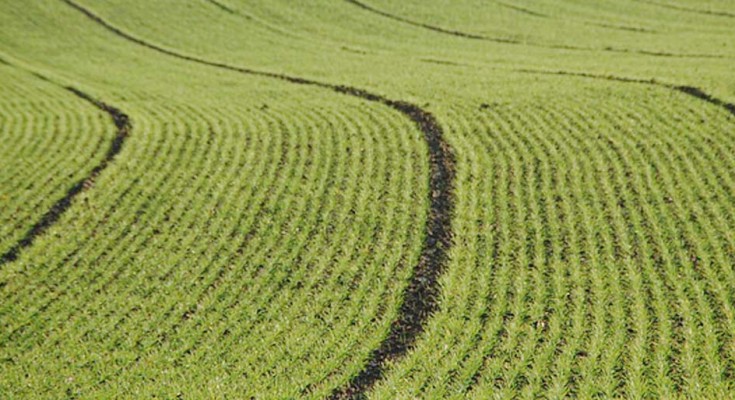 acordo-agricultura-web