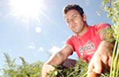 agricultore-web