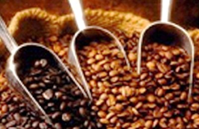 café-robusta-web