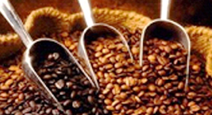 café-robusta-web