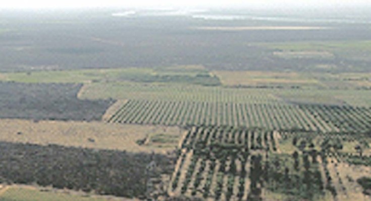 corredor-verde-caatinga-web