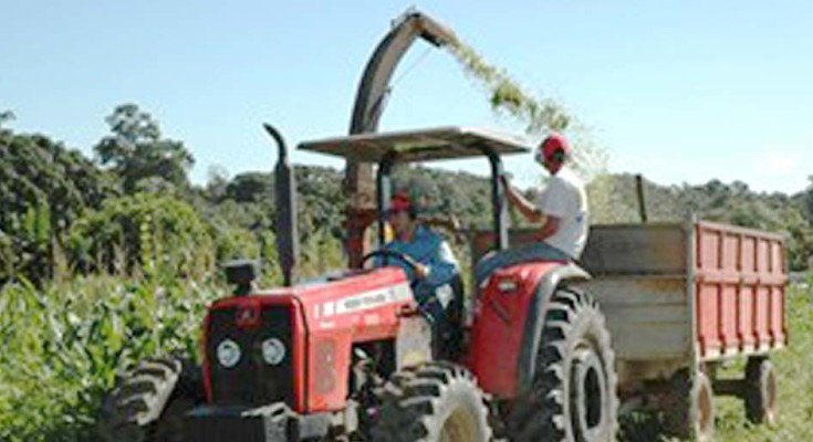 silagem-web