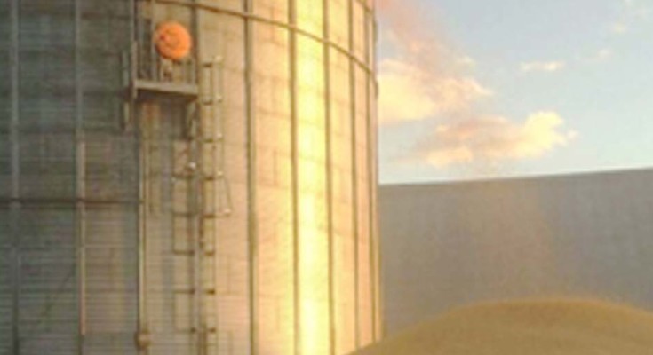 silos-web