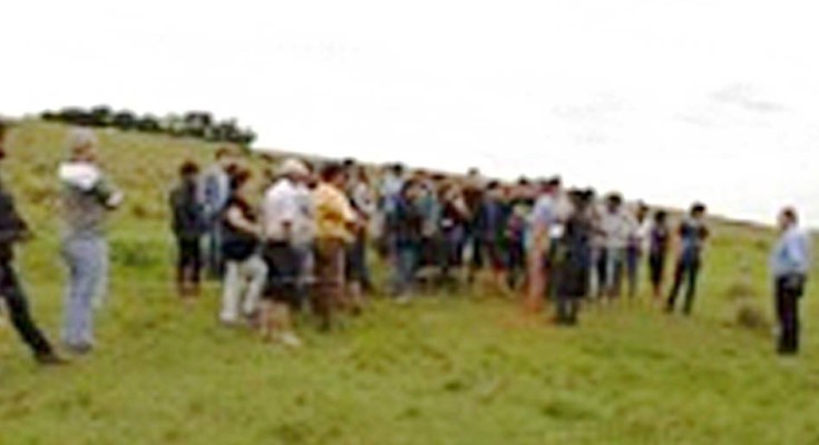 BIODIVERSIDADE-WEB
