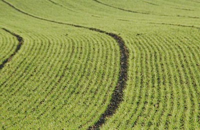 acordo-agricultura-web