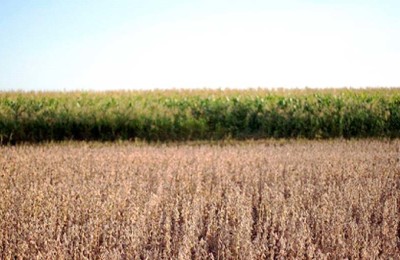 agricultura-legal-web