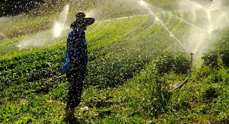 agricultura-nova-web