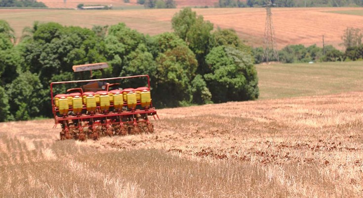 foto-plantio-de-soja