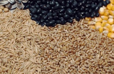 grãos-web-diverss