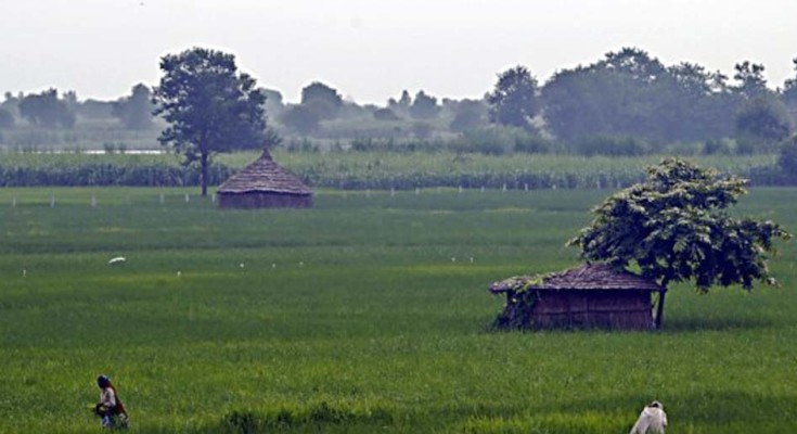 indigenas-web