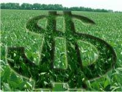 Credito-Rural