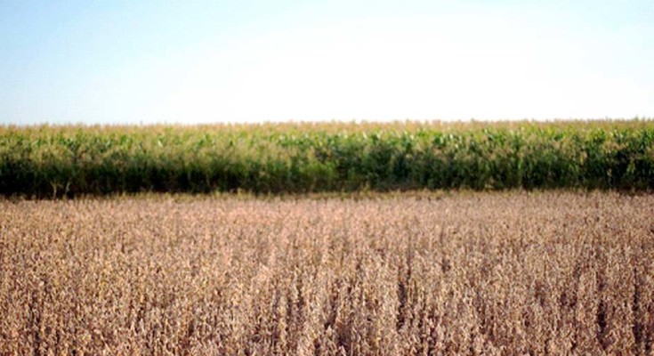 agricultura-legal-web