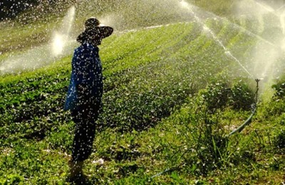 agricultura-nova-web