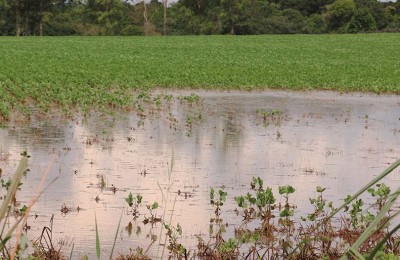 Lavouras ainda permaneciam alagadas uma semana após o temporal da metade de dezembro.