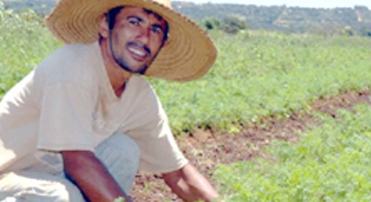 AGRICULTURA-FAMILIAR-WEB