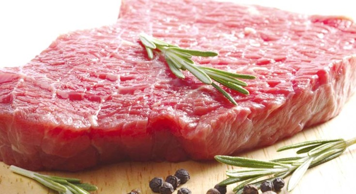 CARNE-WEB