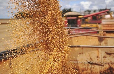 SOJA-GRAOOSSS-WEB