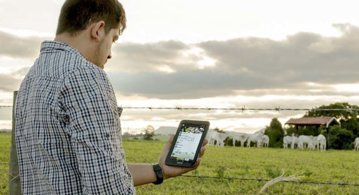 TECNOLOGIAS-APP-WEB